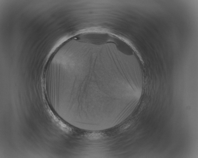 X0000080690998200701121720