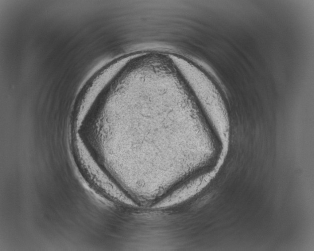 X0000080690999200701121720