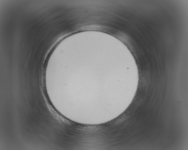 X0000080691000200701121720