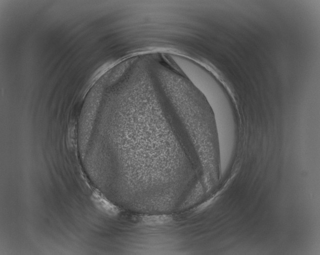 X0000080691001200701121720