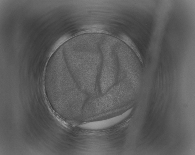 X0000080691002200701121720