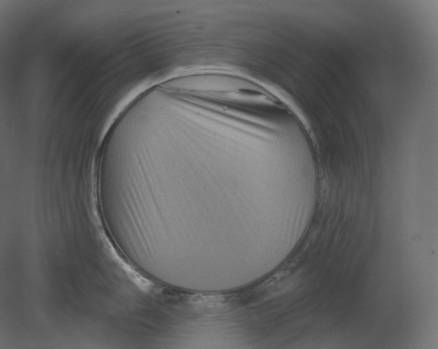 X0000080691006200701121720