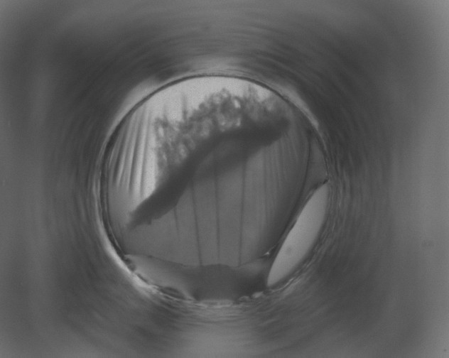 X0000080691007200701121720