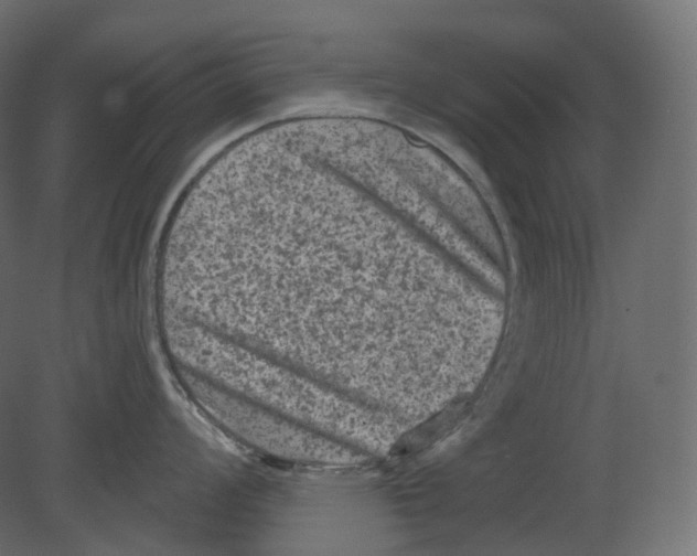 X0000080691008200701121720