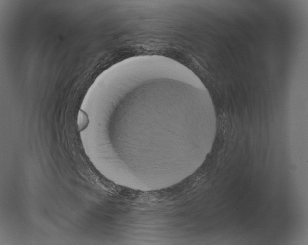 X0000080691009200701121719