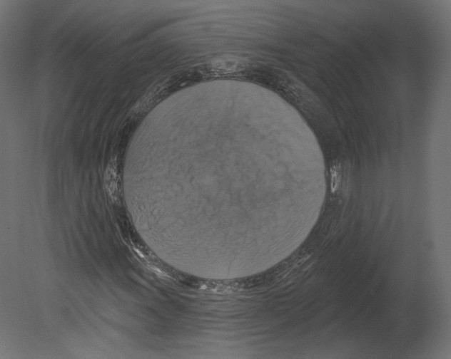 X0000080691011200701121719