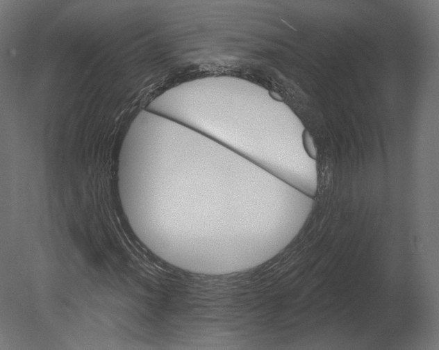 X0000080691012200701121719