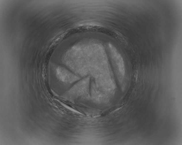 X0000080691014200701121719