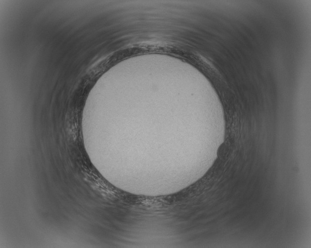 X0000080691015200701121719