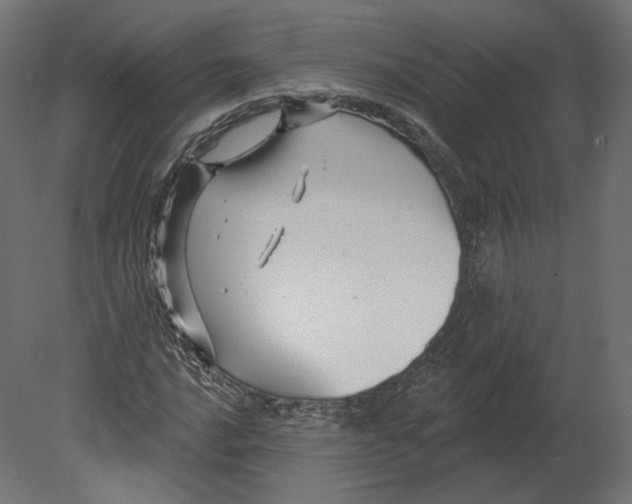 X0000080691016200701121719