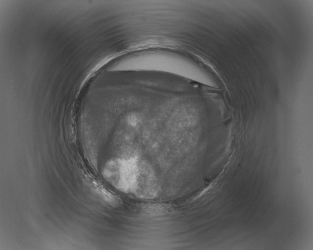 X0000080691018200701121719