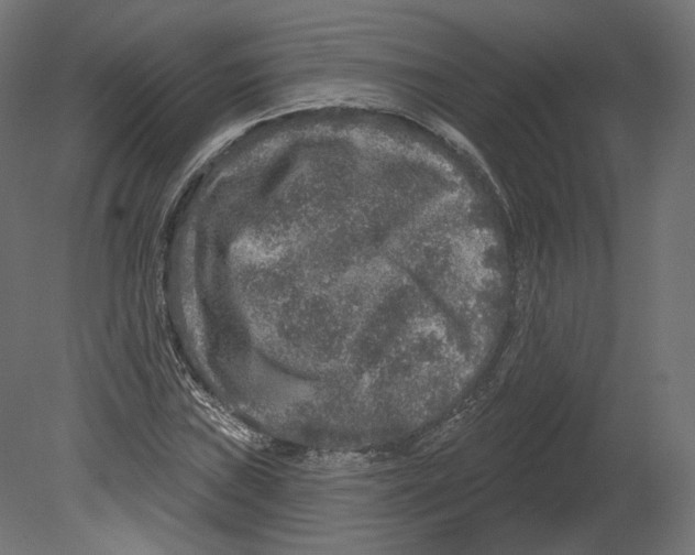 X0000080691019200701121719