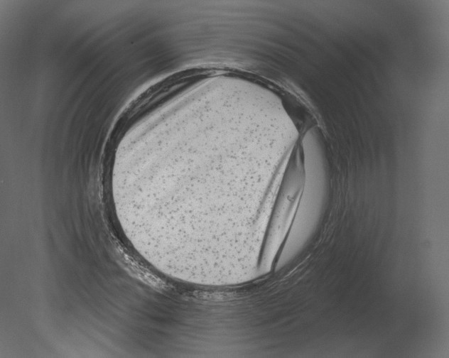 X0000080691020200701121719