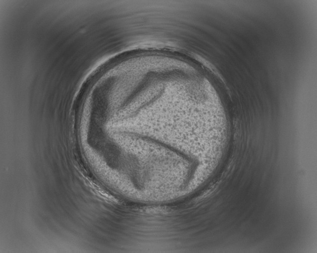 X0000080691021200701121719