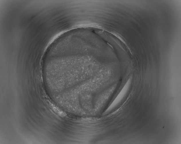 X0000080691022200701121719