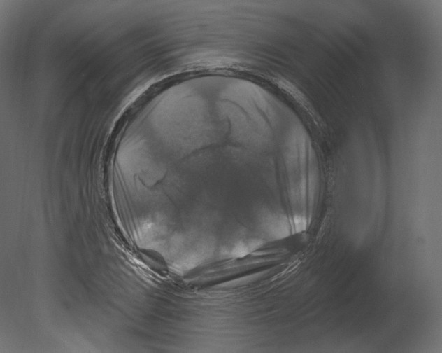 X0000080691023200701121719