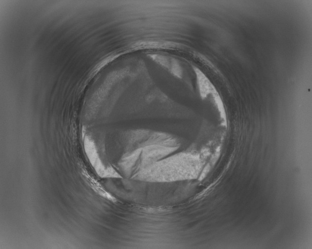 X0000080691025200701121719