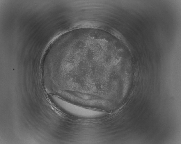 X0000080691027200701121719