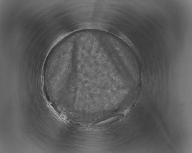 X0000080691028200701121719