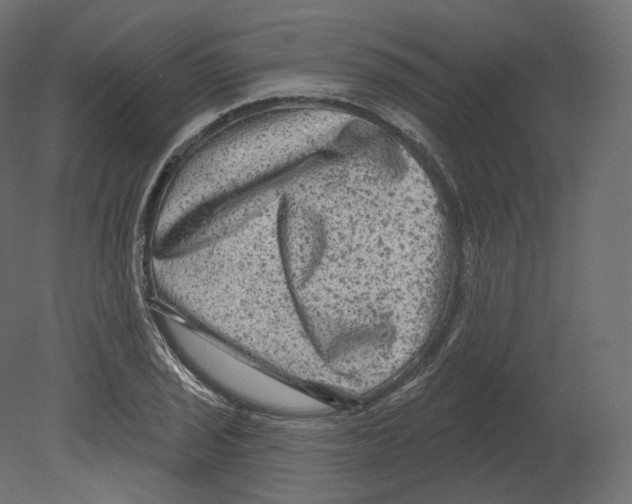 X0000080691029200701121719