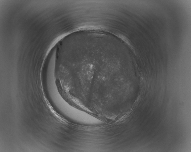 X0000080691030200701121719