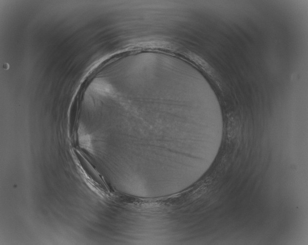 X0000080691031200701121719