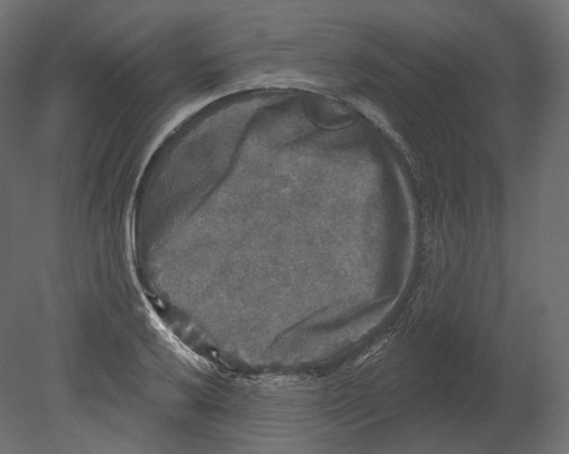 X0000080691032200701121720