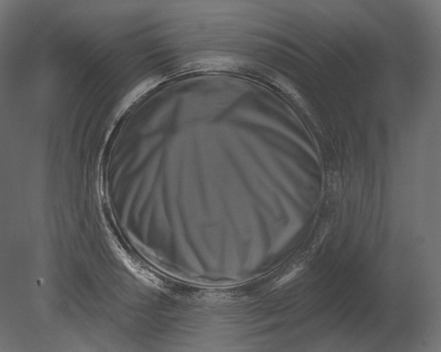 X0000080691034200701121720