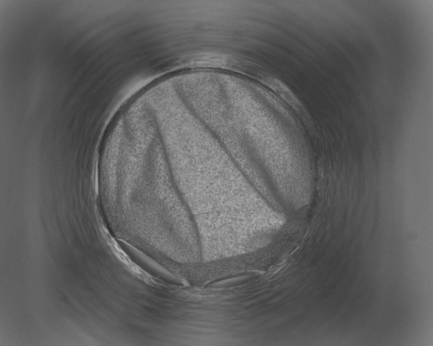 X0000080691036200701121720