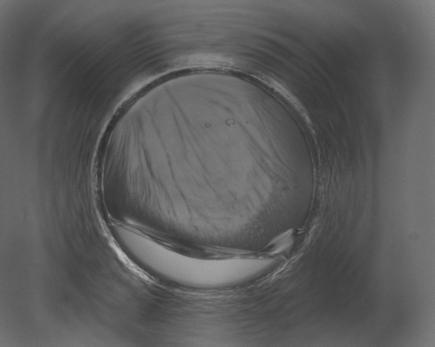 X0000080691037200701121720