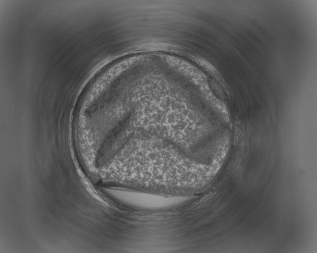 X0000080691039200701121720