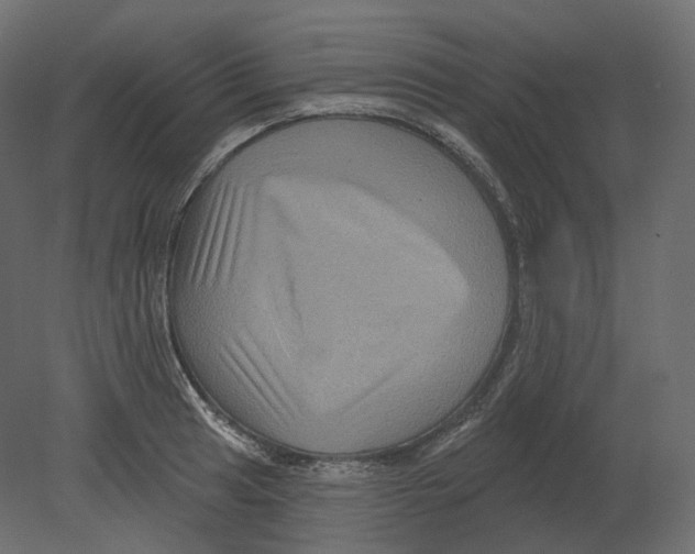 X0000080691041200701121720