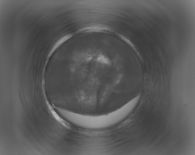 X0000080691042200701121720