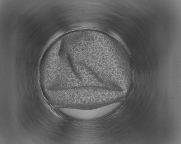 X0000080691043200701121720