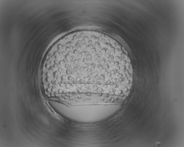 X0000080691044200701121720