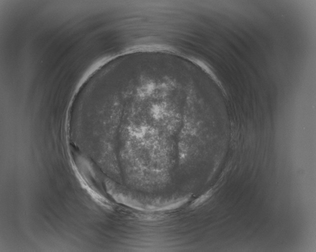 X0000080691046200701121720