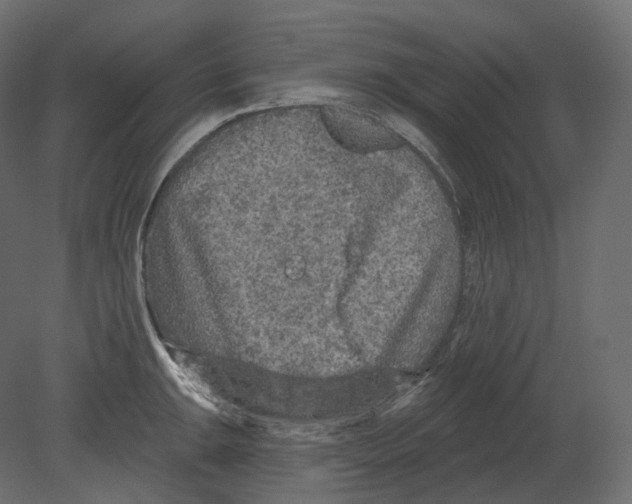 X0000080691047200701121720