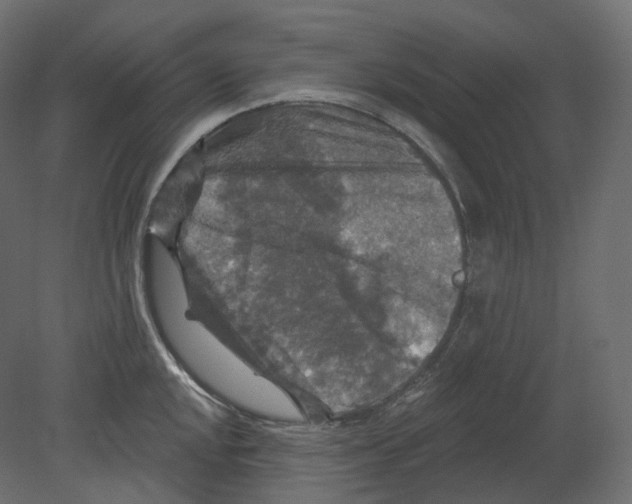 X0000080691048200701121720