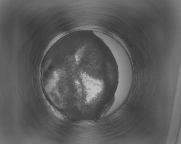 X0000080691050200701121720