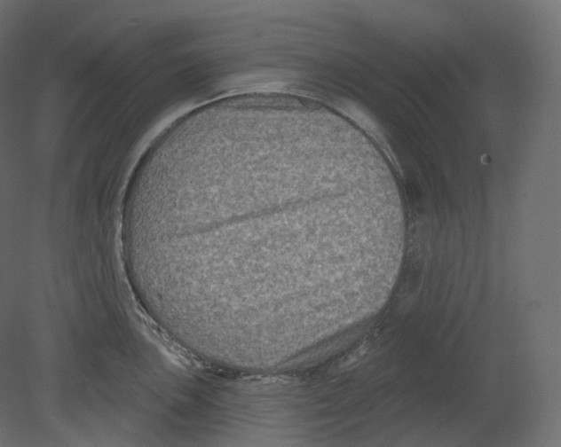 X0000080691051200701121720