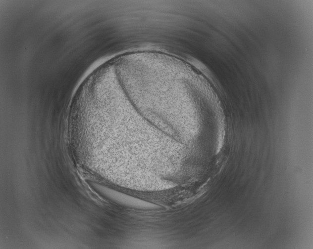 X0000080691052200701121720