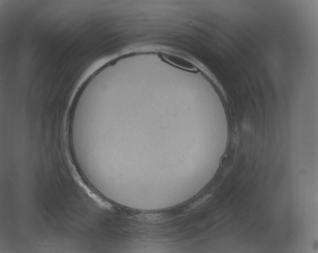 X0000080691053200701121720