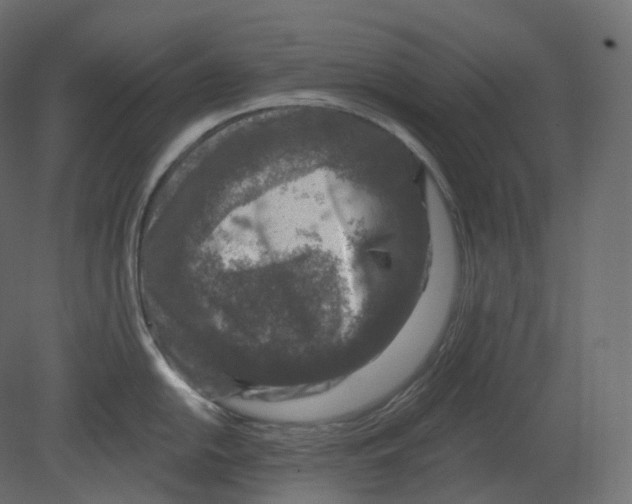 X0000080691054200701121720