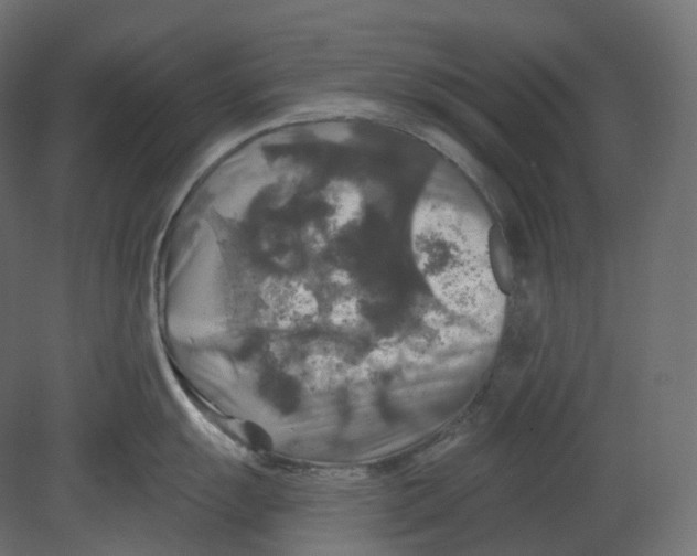 X0000080691055200701121720