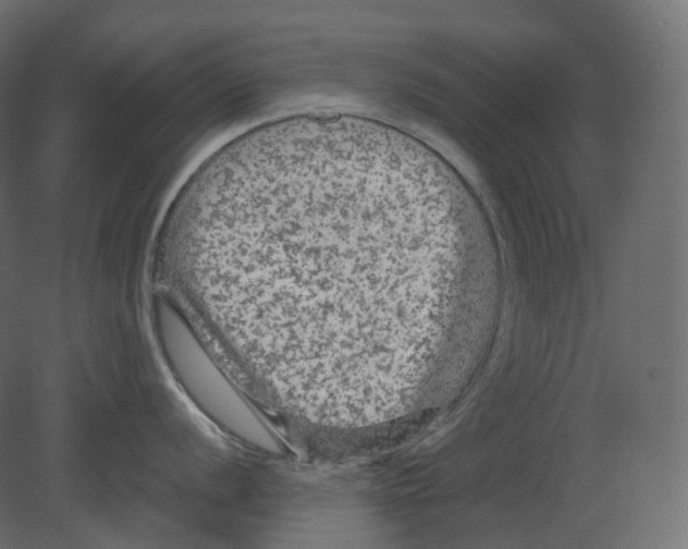 X0000080691056200701121720