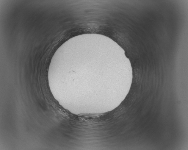 X0000080691057200701121719