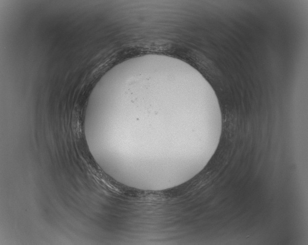 X0000080691058200701121719