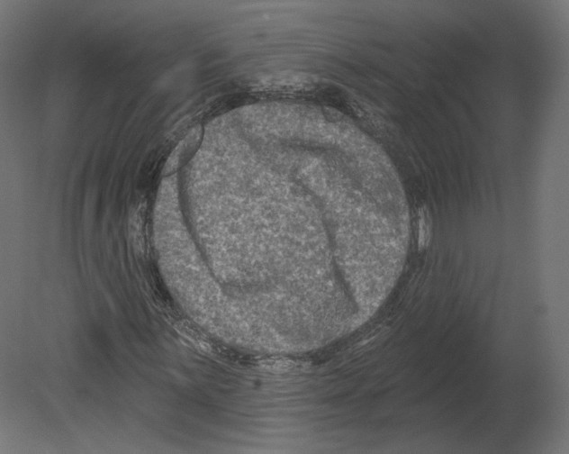 X0000080691059200701121719