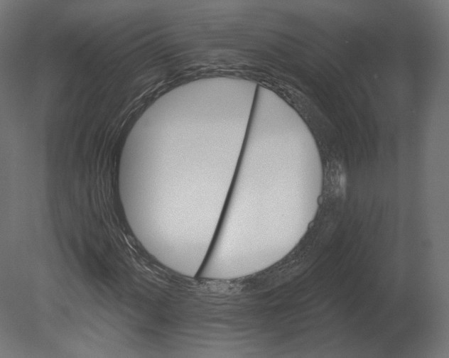 X0000080691060200701121719