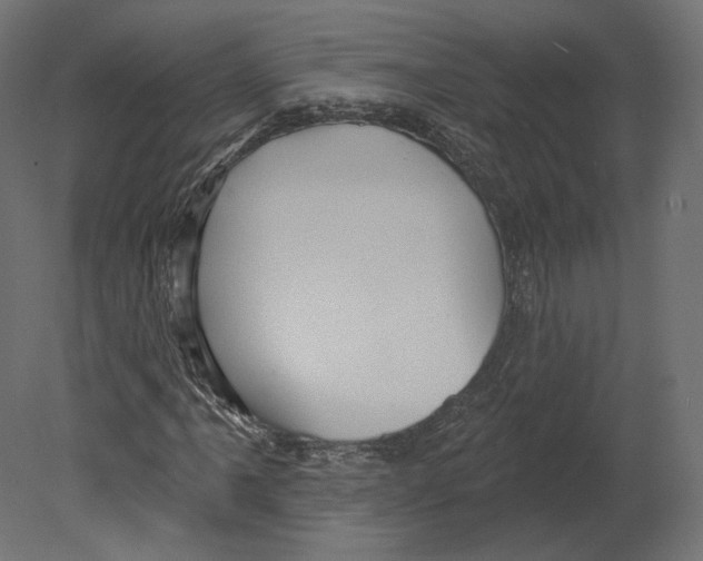 X0000080691061200701121719